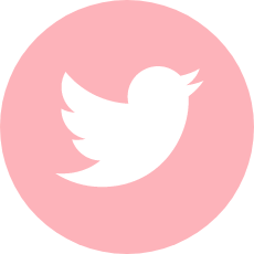 Twitter Logo